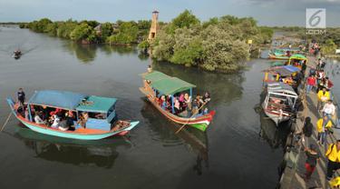 Menikmati Indahnya Wisata Mangrove di Bekasi