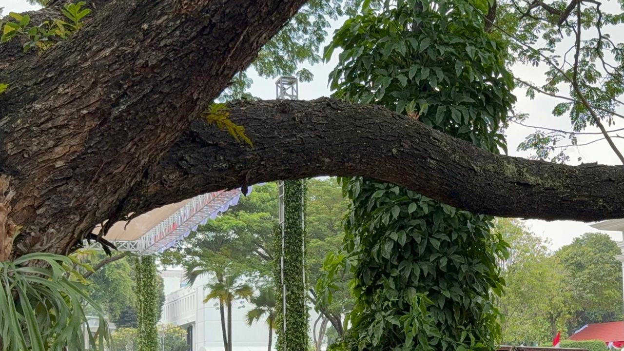 Istana Kepresidenan Biasanya Steril Tiba-tiba Berubah Jadi Tempat Wisata Kuliner