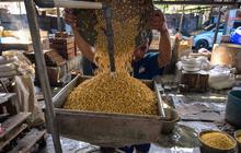 FOTO: Kenaikan Harga Kedelai Tekan Produksi Tahu di Jawa Timur