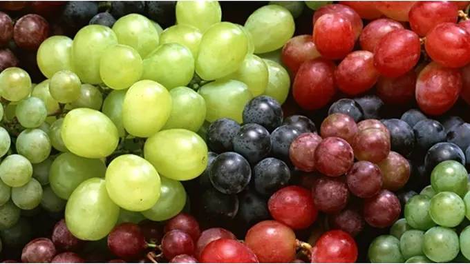 Foto: copyright aceoflivifewellbeingblog.com