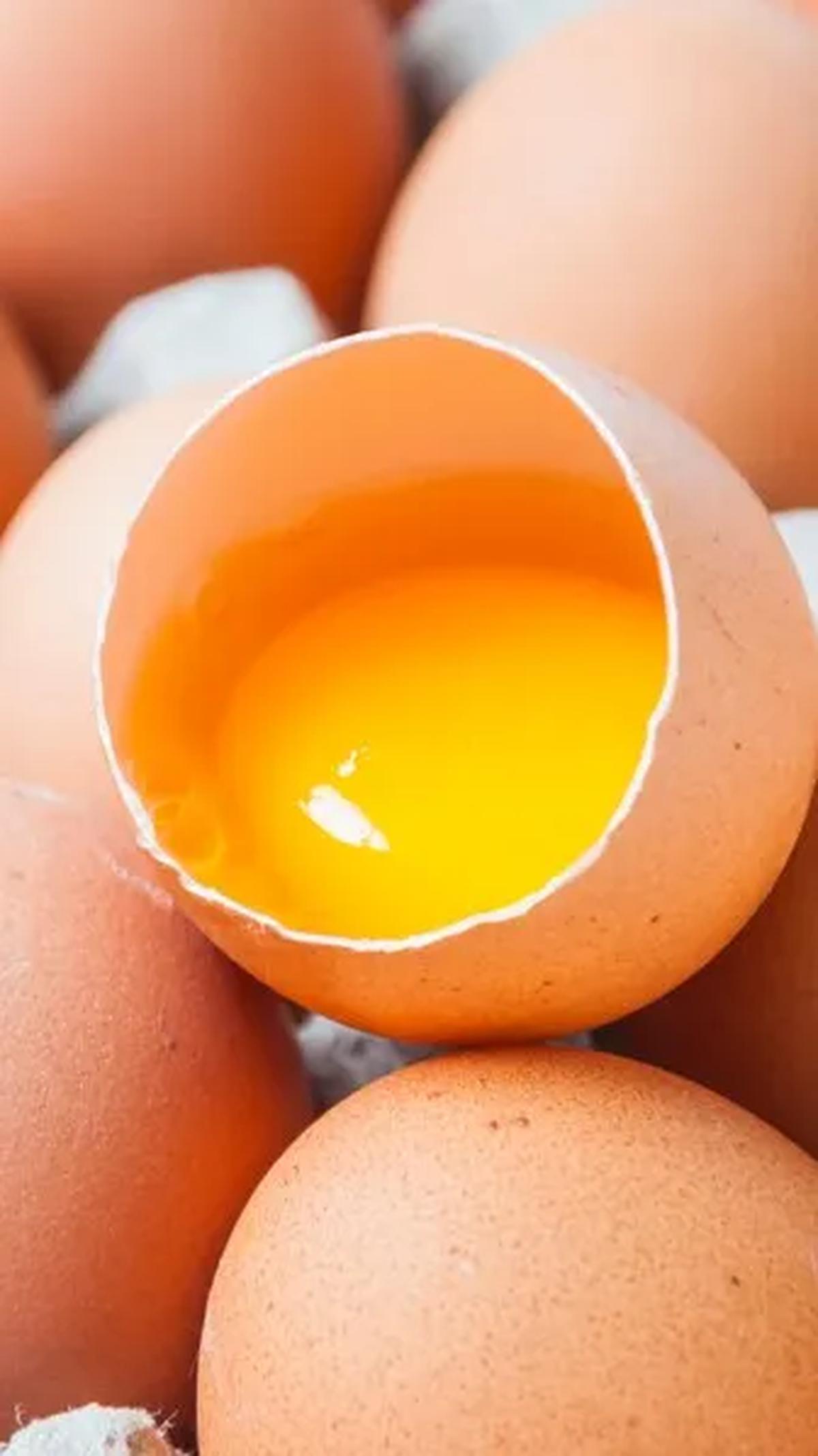Perbedaan Telur Biasa vs Telur Omega 3<br>
