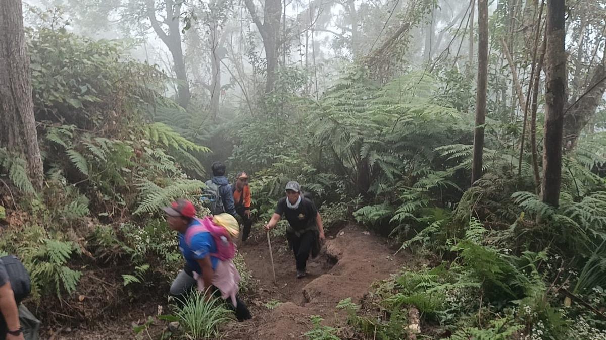 Tim SAR melakukan pencarian dua pendaki dilaporkan tersesat saat turun dari Gunung Agung, Kabupaten Karangasem, Bali, Rabu (9/9). (Foto Humas Basarnas Bali).