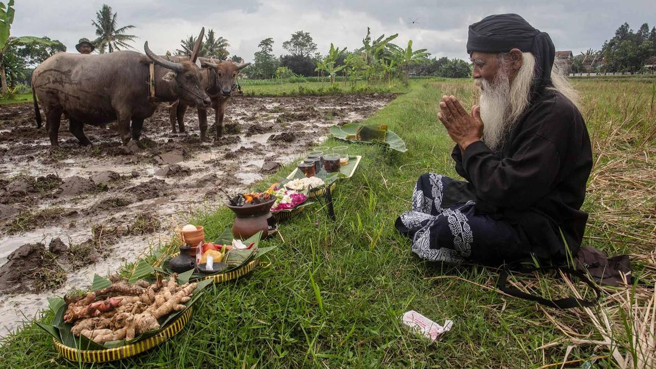 FOTO: Doa Petani Sleman dalam Ritual Adat Megawe