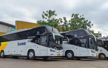 7 Rute DAMRI dari dan Menuju Bandara Soekarno-Hatta, Simak Kisaran Tarifnya