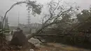 Sebuah pohon tumbang memblokir jalan setelah hujan lebat akibat siklon Tauktae di Ahmedabad, India, pada Selasa (18/5/2021). Topan Tauktae disebut yang terbesar melanda wilayah itu dalam beberapa dekade terakhir.  (AP Photo/Ajit Solanki)
