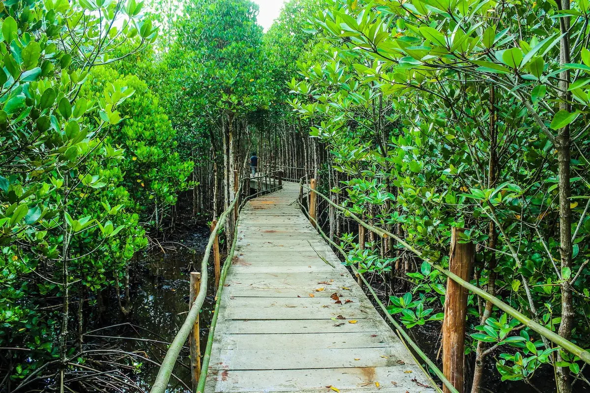 Taman Wisata Mangrove, Jakarta Utara