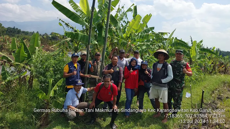 Para petani di salah satu kecamatan di Garut, Jawa Barat akhirnya mendirikan rumah burung hantu (Rubuha) untuk mengendalikan serangan hama tikus yang cukup mengkhawatirkan. (Liputan6.com/Jayadi Supriadin)