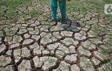 Siap-Siap Agustus 2025 Jadi Puncak Kemarau, Ini Daftar Wilayah Terdampak
