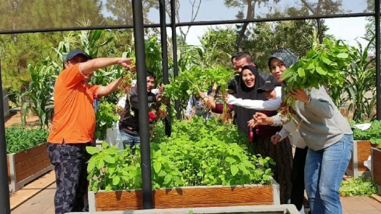 Berkebun