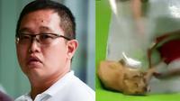 Ng Zhaohui Matthew di pengadilan Singapura  (Liputan6.com/CNA/Syamil Sapari, Facebook/Chained Dog Awareness in Singapore)