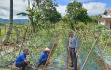 Fakta Unik: Lapas Talu Sulap Lahan Tidur Jadi Kebun Produktif, Warga Binaan Panen Raya Dukung Ketahanan Pangan!