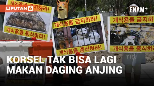 VIDEO: Sah! Korea Selatan Keluarkan Undang-Undang Pelarangan Konsumsi Daging Anjing