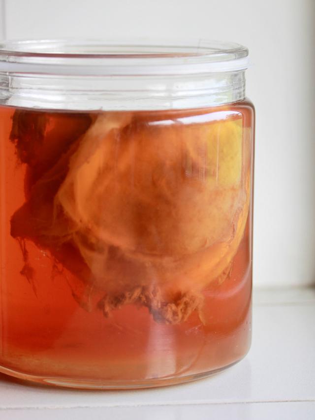 Cara Membuat Kombucha Sendiri di Rumah, Ketahui Manfaatnya - Hot