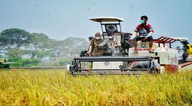 Mentan Syahrul Yasin Limpo Sebut 4 Tantangan Terbesar di Sektor Pertanian