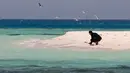 Instruktur selam Arab Saudi, Nouf Alosaimi memfilmkan kehidupan alami di sebuah pulau berpasir di Laut Merah, dekat King Abdullah Economic City. Arab Saudi saat ini sedang mengembangkan industri pariwisata. (AP Photo/Amr Nabil)