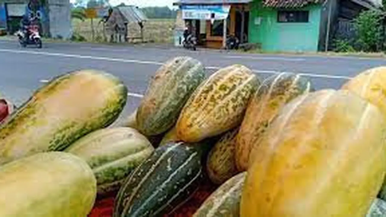 Buah Krai buah khas Banyuwangi yang hanya ada saat bulan Ramadan (Istimewa)