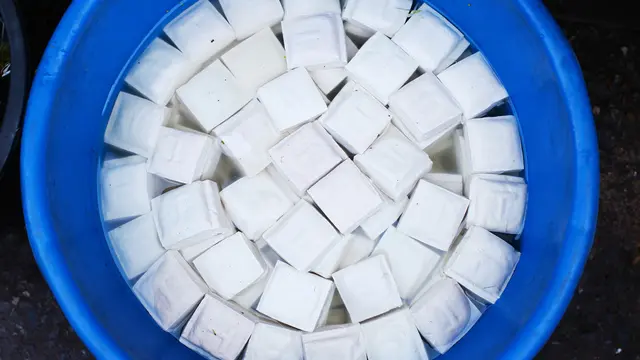 Tofu (sumber: iStockphoto)