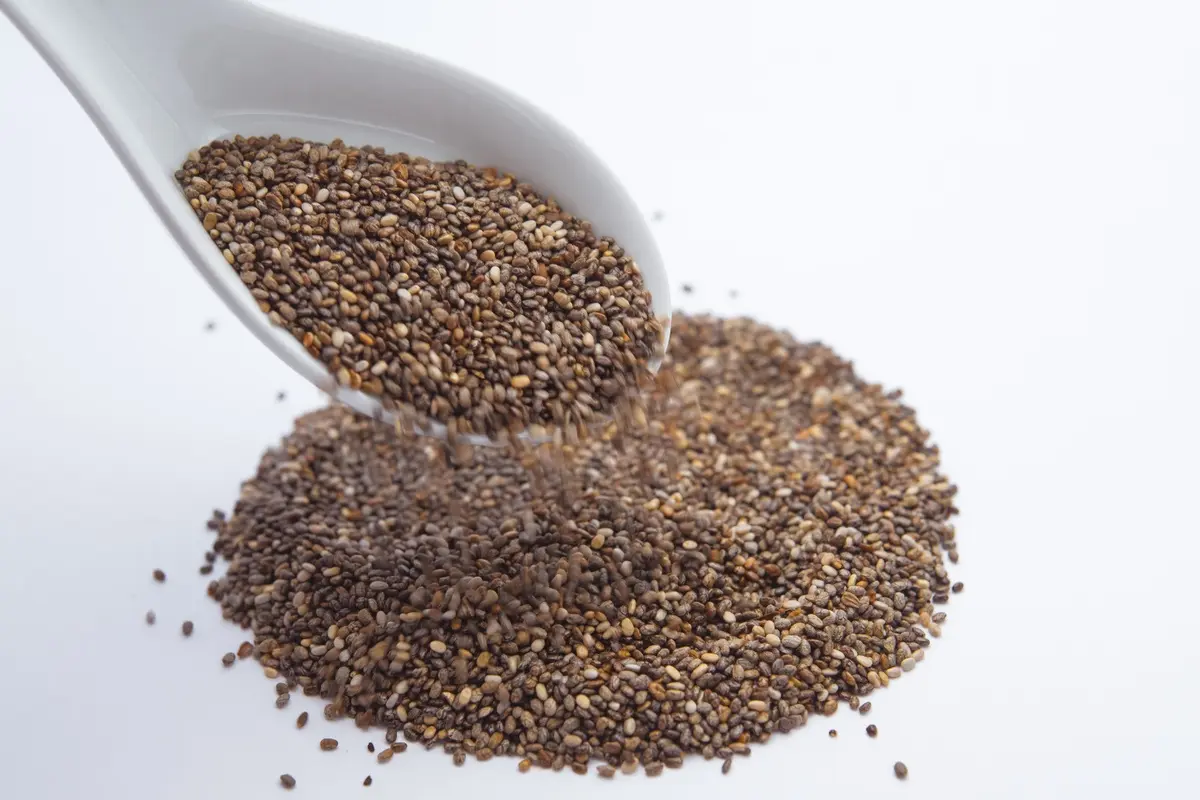 Ilustrasi chia seed