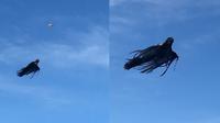 Dementor yang bikin geger warga Wisconsin Utara, AS ini ternyata cuma drone! (Sumber: Huffington Post)