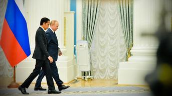 Jokowi: Vladimir Putin Jamin Keamanan Pasokan Pangan dan Pupuk dari Rusia dan Ukraina