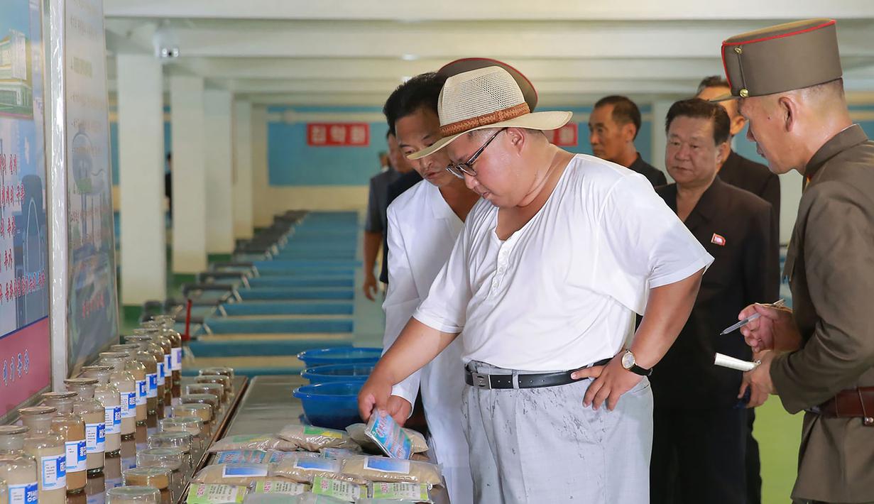 Pemimpin Korea Utara Kim Jong-un saat meninjau peternakan lele samchon di Provinsi Hwanghae Selatan, Korea Utara, Senin (6/8). Kim tampak santai dengan kaus putih tipis dan topi bundar. (KCNA VIA KNS/AFP)