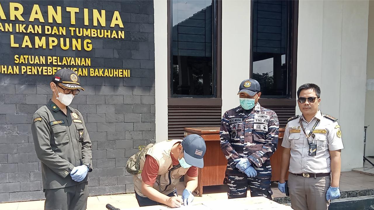TNI AL Gagalkan Penyelundupan 620 Ekor Burung Ilegal di Bakauheni