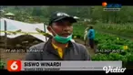 Ditemukan situs bersejarah di kebun aset, Desa Sapikerep, Probolinggo. Situs kuno itu pertama kali ditemukan petani yang ingin menggali tanah di kebun stroberi. Bangunan bersejarah tersebut, diperkirakan berupa kolam dan pemakaman yang dibuat ratusan...