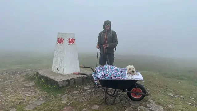 6 Potret Haru Pria Ajak Anjingnya yang Sekarat Mendaki Gunung, Jadi Momen Terakhir