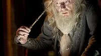 Michael Gambon dalam Harry Potter and the Goblet of Fire (2005). (Warner Bros)