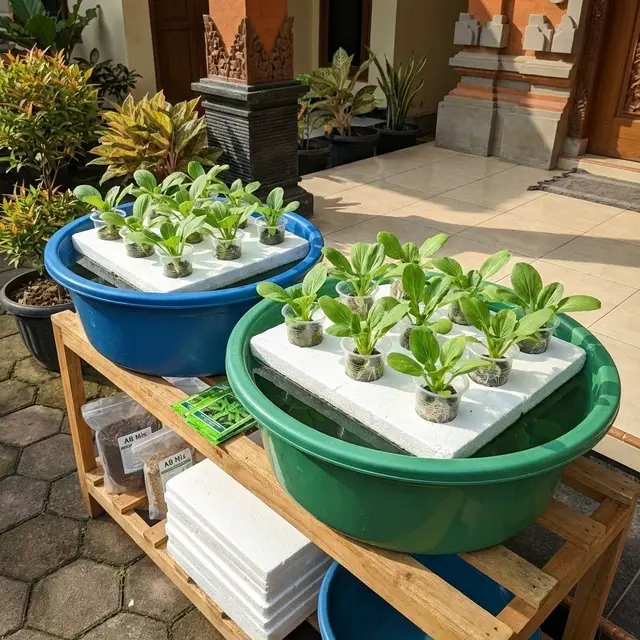 Ide Kebun Sayur di Rumah Modal Rp 100 Ribuan