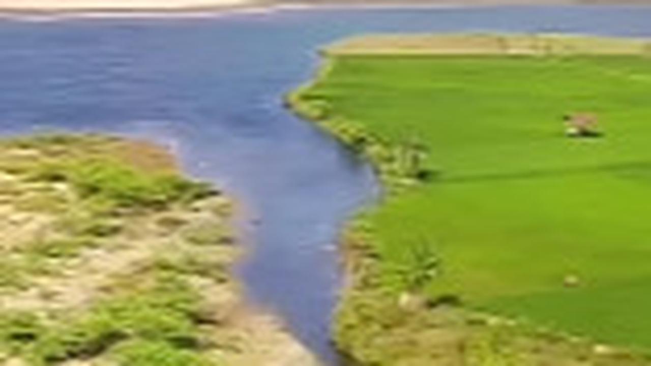 Pantai Unik di Trenggalek Ini Indah Banget, Ada Muara Sungai & Lembah yang Dikelilingi Kerbau