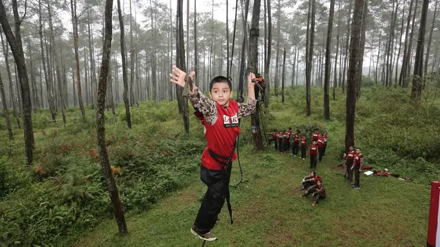 Bulu Tangkis