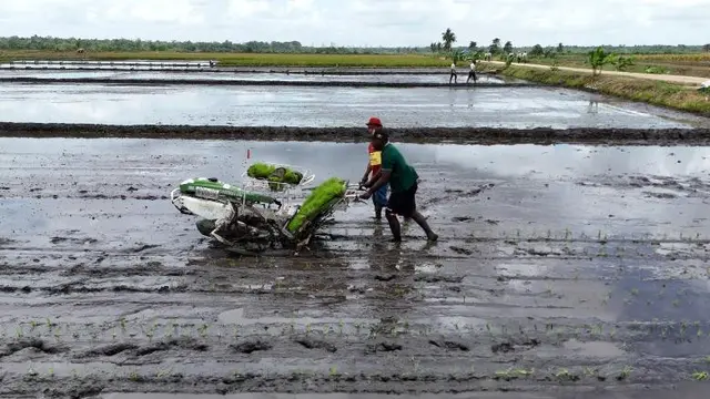 Regenerasi Petani jadi Tantangan Berat Indonesia di Sektor Pangan