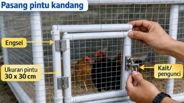 kandang ayam