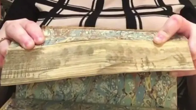 [Bintang] Tak Disangka, Buku Tua Ini Menyimpan Lukisan di Dalamnya