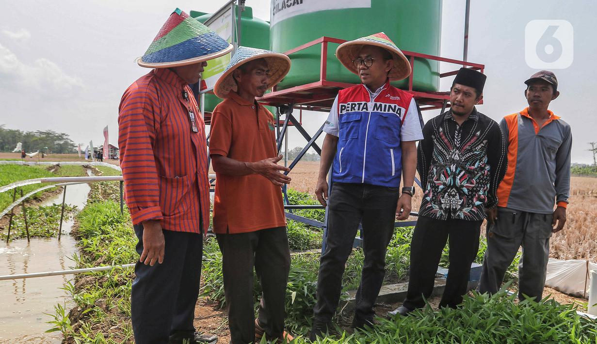 Direktur Utama PT Kilang Pertamina Internasional (KPI) Taufik Aditiyawarman (tengah) berbincang dengan para petani saat peresmian Desa Energi Berdikari di Kalijaran, Maos, Cilacap, Jawa Tengah, Kamis (2/11/2023). (Liputan6.com/Angga Yuniar)