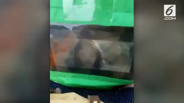 VIDEO: Kreatif, Driver Ojol Ini Hadirkan Bioskop Berjalan di Motornya
