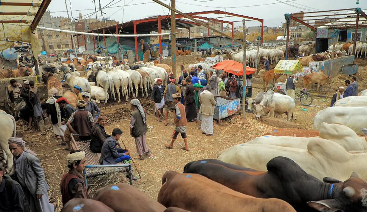 Suasana pasar ternak jelang Hari Raya Idul Adha di Sanaa, Yaman, Rabu (14/7/2021). Saat Idul Adha, umat muslim mengorbankan berbagai hewan seperti sapi, unta, kambing, dan domba. (MOHAMMED HUWAIS/AFP)