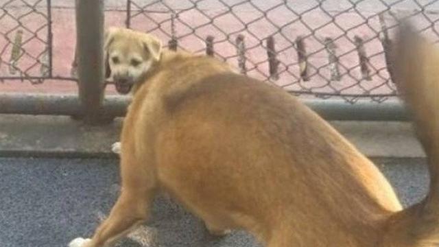 7 Potret Ilusi Optik yang Bisa Bikin Kamu Mikir Aneh-Aneh