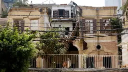 Sebuah bangunan yang hancur terlihat di Beirut, Lebanon, pada 13 Agustus 2020. Sebanyak 601 bangunan bersejarah hancur akibat ledakan yang mengguncang Beirut pada 4 Agustus lalu, dengan 70 di antaranya dapat roboh jika tidak segera direstorasi. (Xinhua/Bilal Jawich)
