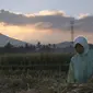 Seorang petani bekerja dengan latar belakang Gunung Raung mengeluarkan awan panas di Kabupaten Jember, Jawa Timur, Minggu (12/7/2015). (AFP PHOTO)