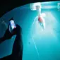 Pengunjung mengabadikan ubur-ubur di Wahana Jellyfish Sphere di SeaWorld Ancol, Jakarta, Selasa (25/12). Sea World menjadi tempat wisata alternatif warga menghabiskan libur Natal 2018. (Liputan6.com/Faizal Fanani)
