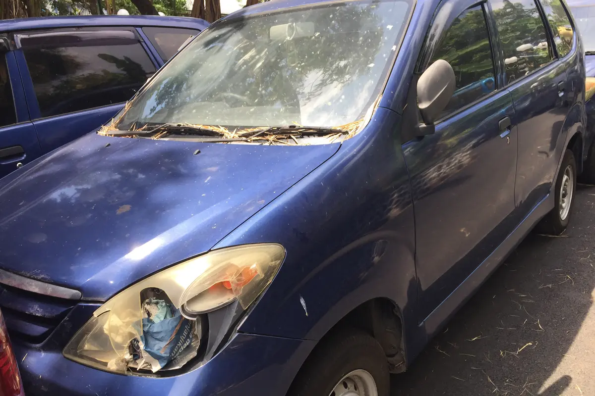 Puluhan mobil berpelat merah terparkir tanpa perawatan di halaman belakang Gedung DPR. (Liputan6.com/Devira Prastiwi)