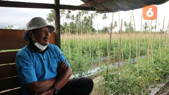 Suharianto (56 th), petani penyintas bencana di Kabupaten Sigi lahan yang disewanya pascabencana