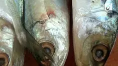 Menyusul gelombang tinggi yang terus terjadi di perairan selatan Daerah Istimewa Yogyakarta pasokan ikan laut ke pasaran di Sleman, terlihat menurun drastis.