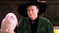 Aktris Harry Potter, Maggie Smith didiagnosa menderita kanker payudara pada tahun 2008. Ia pun harus menjalani kemoterapi. (Hotflick.net)