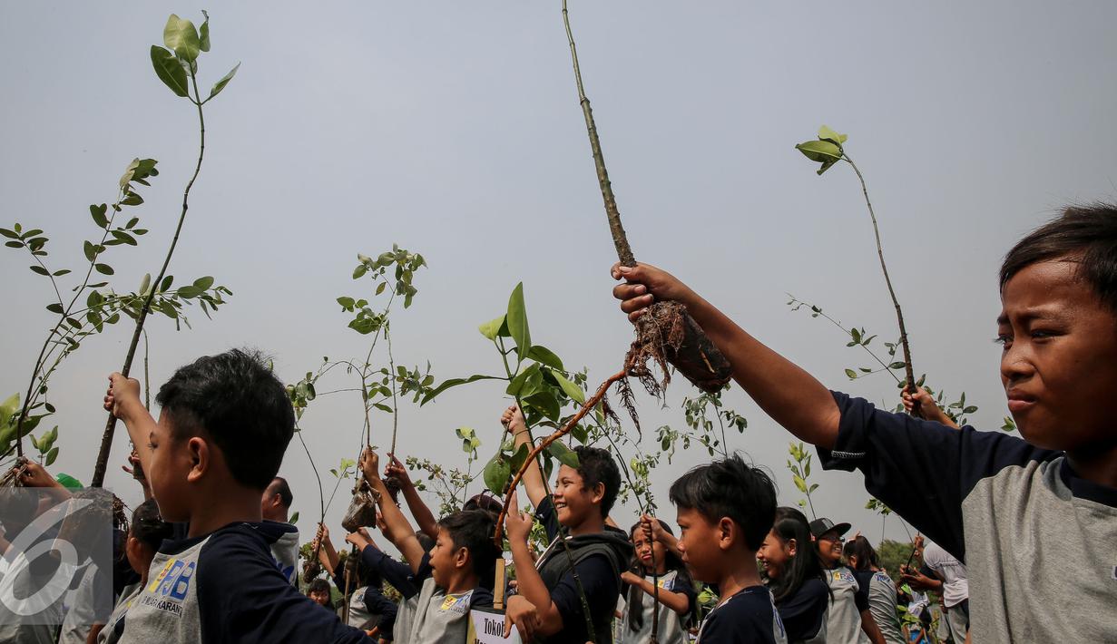 Siswa siswi mengangkat bibit mangrove untuk di tanam di Pesisir Pantai Muara Karang, Jakarta, Kamis (29/10). 5.000 bibit baru ditanam untuk memperkuat ekosistem yang telah dibangun dan memperbesar manfaat terhadap masyarakat. (Liputan6.com/Faizal Fanani)