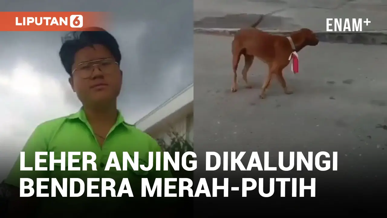 Pria di Bengkalis Diciduk Usai Pasang Bendera Merah Putih di Leher Anjing