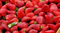 Ternyata Gampang, Ini Cara Menanam Strawberry Sendiri di Rumah