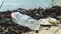 Ilustrasi sampah botol plastik (sumber foto: pexels.com/Catherine Sheila)